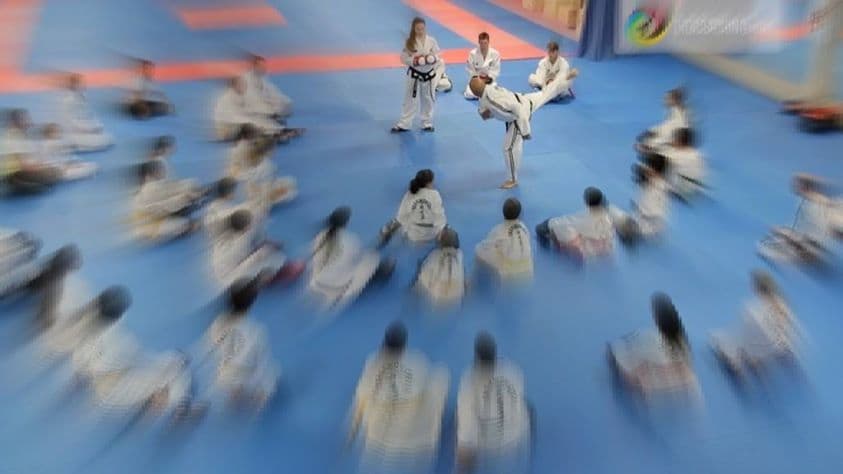 Master Daher Kicking Class