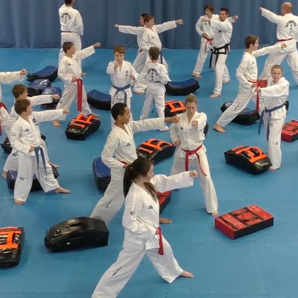 Taekwon-Do instructors attending an induction and teaching development course