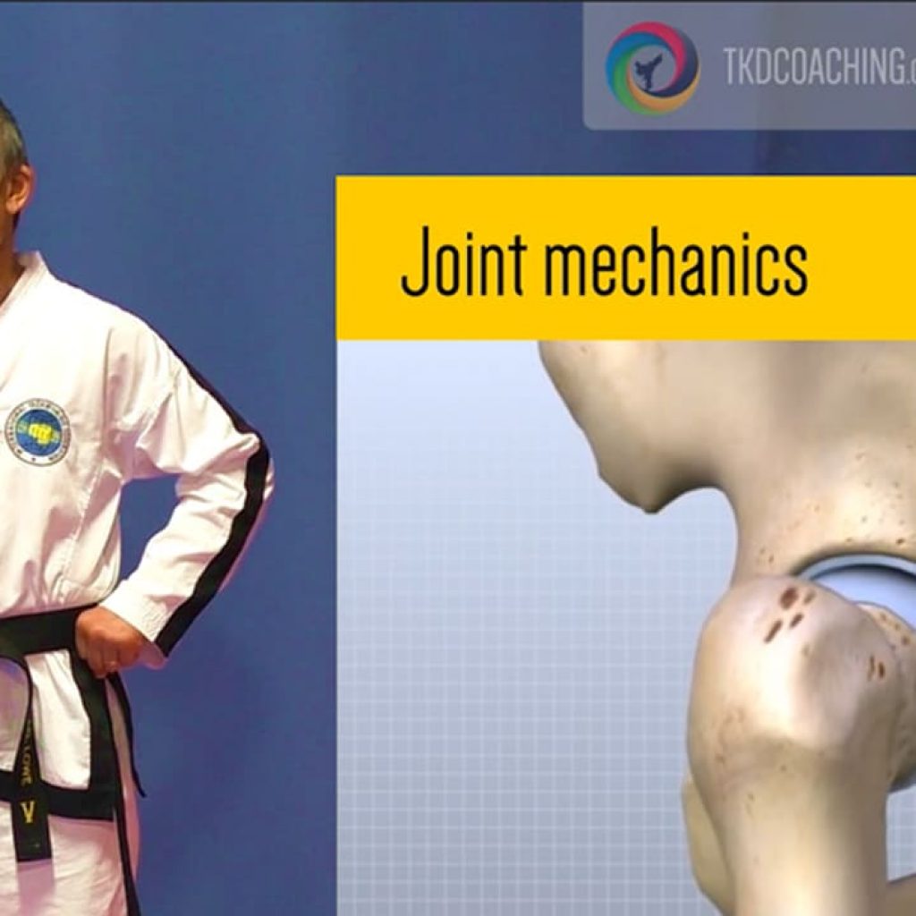 Sports Science series for Taekwon-Do with Expert Coach Mike Lowe focusing on mobility and performance
