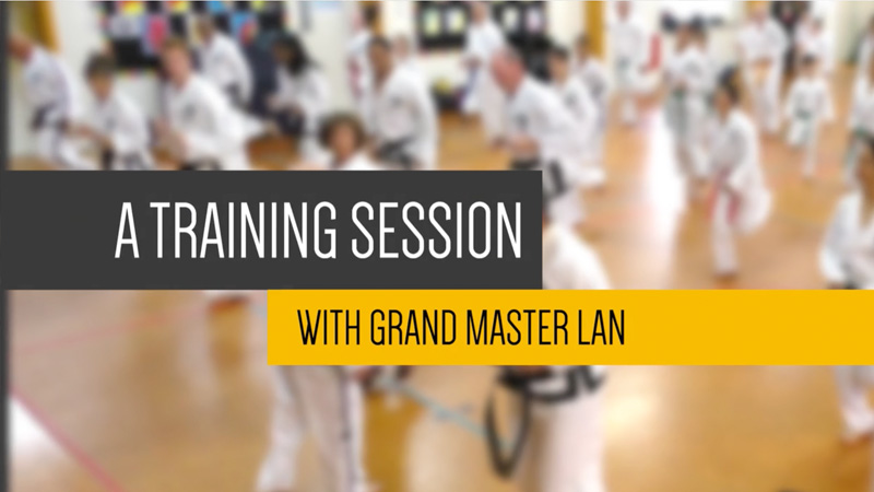 A training Session with Grand Master Lan