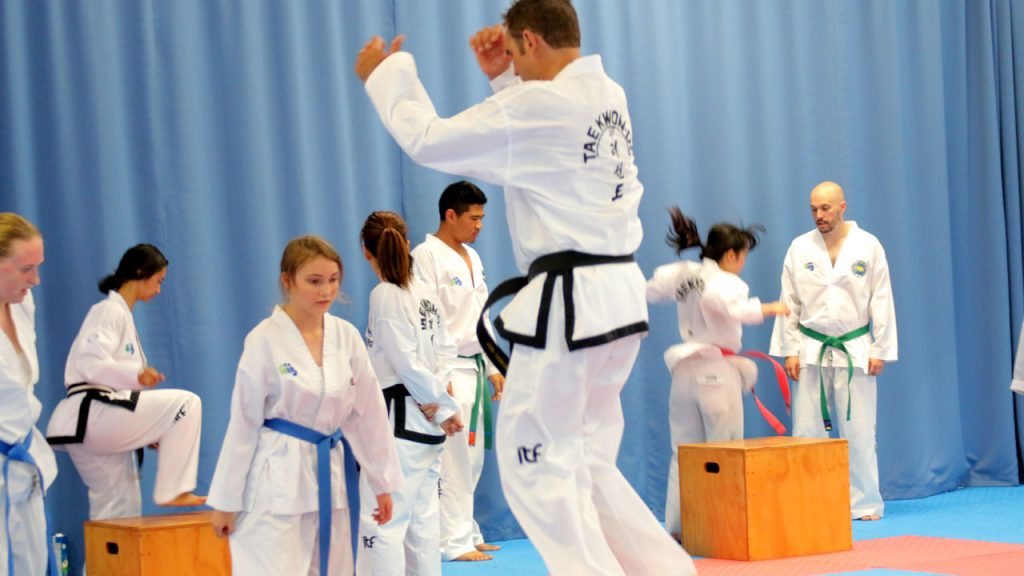 Plyometrics training drills to improve jumping ability for Taekwon-Do