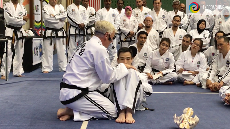 Taekwon-Do conditioning exercises focusing on skeletal muscle development