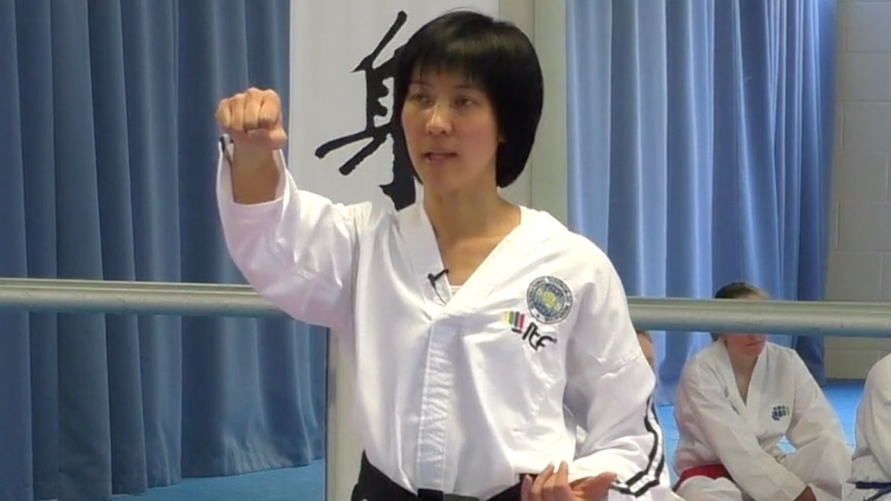 “Master Joliette Trân teaching Taekwon-Do to a group of older women during a seminar.”