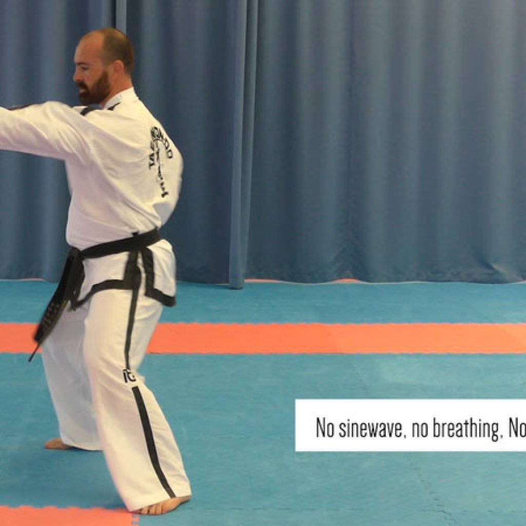 Taekwon-Do practitioner performing Ko-Dang tul with modern ITF mechanics