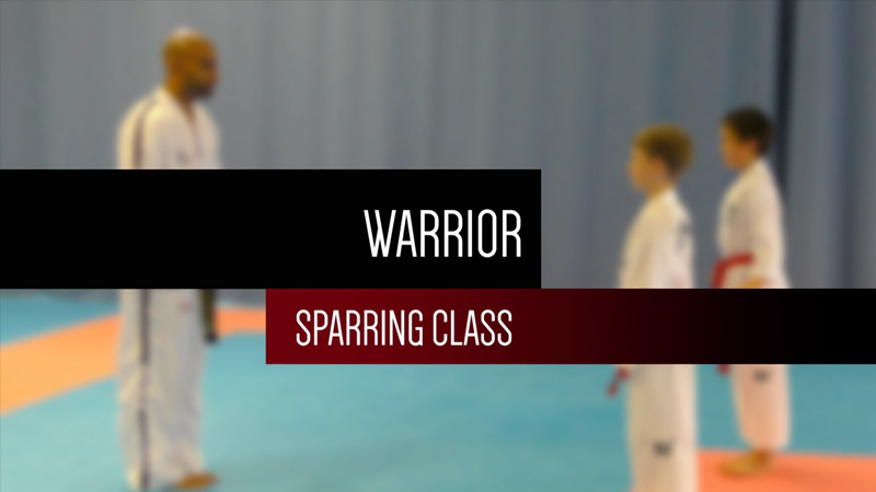 warrior sparring class