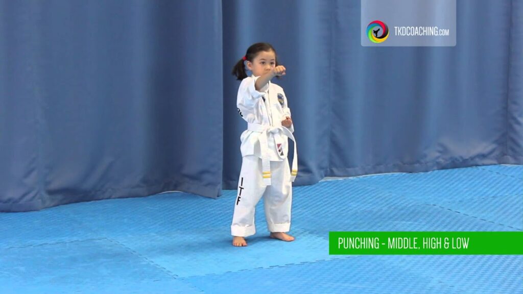 tkd mini kids