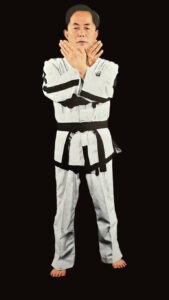 Ul-Ji ready stance